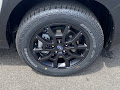 2025 Subaru Crosstrek Wilderness Cvt Wilderness