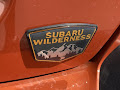 2025 Subaru Crosstrek Wilderness Cvt Wilderness