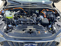 2023 Ford Escape PHEV