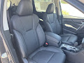 2026 Subaru Ascent Limited
